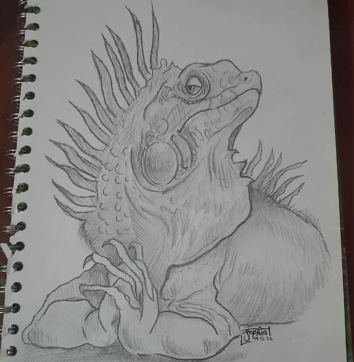 Dibujo 7
